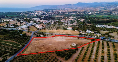 Residential field in Prodromi area, Polis Chrsochous