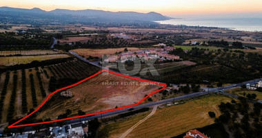 Residential field in Prodromi area, Polis Chrsochous