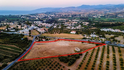 Residential field in Prodromi area, Polis Chrsochous