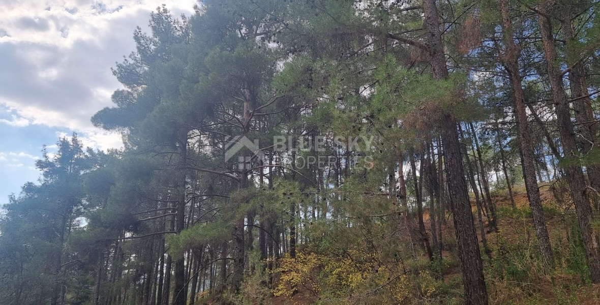 LAND FOR SALE IN PANO PLATRES
