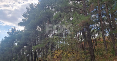 LAND FOR SALE IN PANO PLATRES