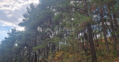 LAND FOR SALE IN PANO PLATRES