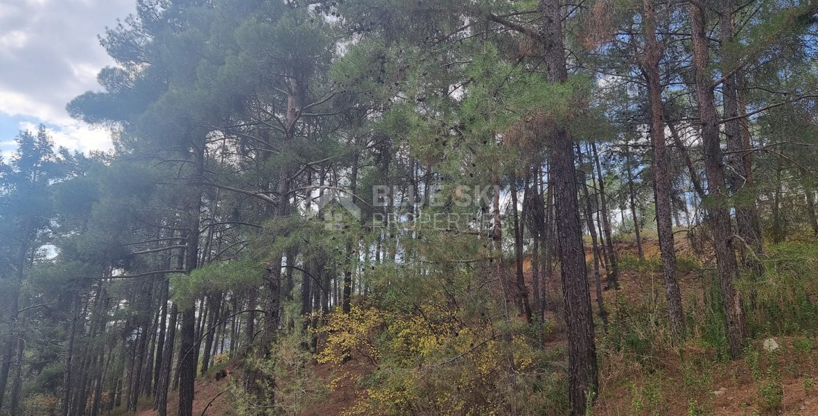 LAND FOR SALE IN PANO PLATRES
