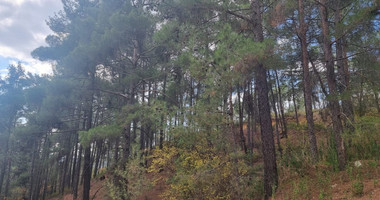 LAND FOR SALE IN PANO PLATRES