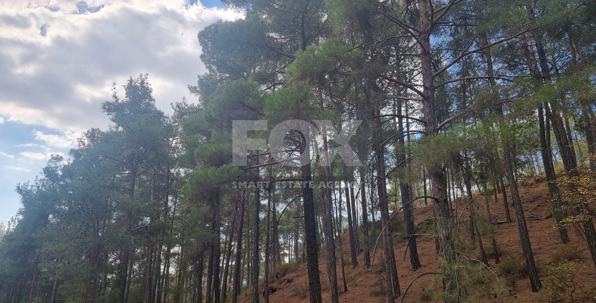 LAND FOR SALE IN PANO PLATRES