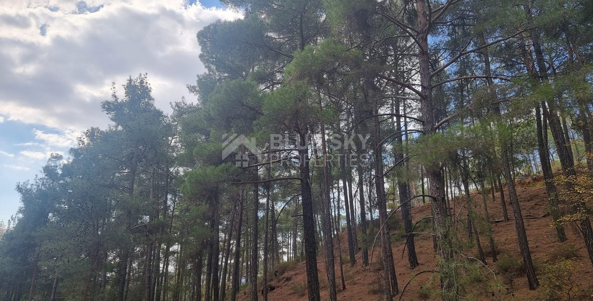 LAND FOR SALE IN PANO PLATRES