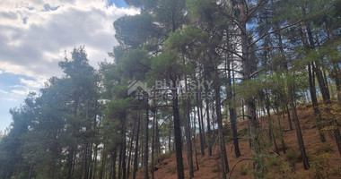 LAND FOR SALE IN PANO PLATRES