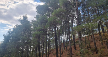 LAND FOR SALE IN PANO PLATRES