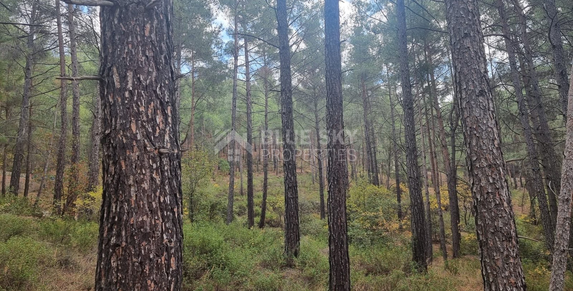 LAND FOR SALE IN PANO PLATRES