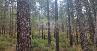 LAND FOR SALE IN PANO PLATRES