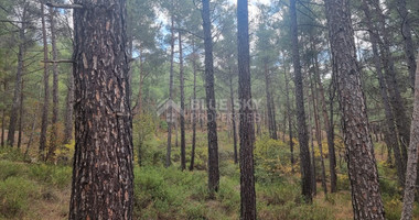 LAND FOR SALE IN PANO PLATRES