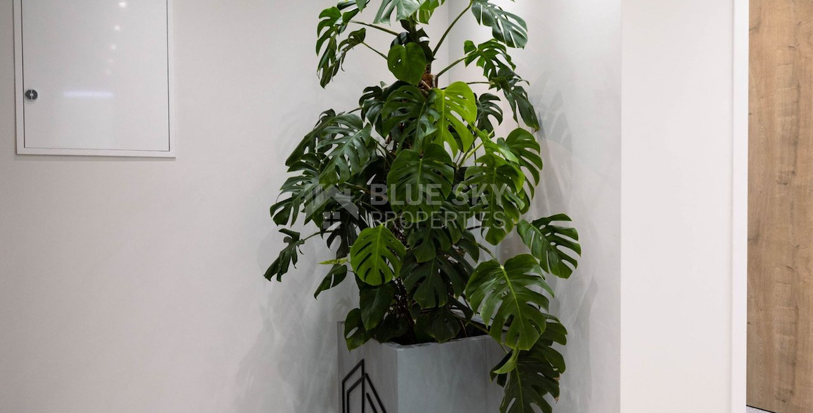 Modern Fully Furnished   Office to Rent in Zakaki