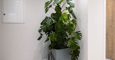 Modern Fully Furnished   Office to Rent in Zakaki