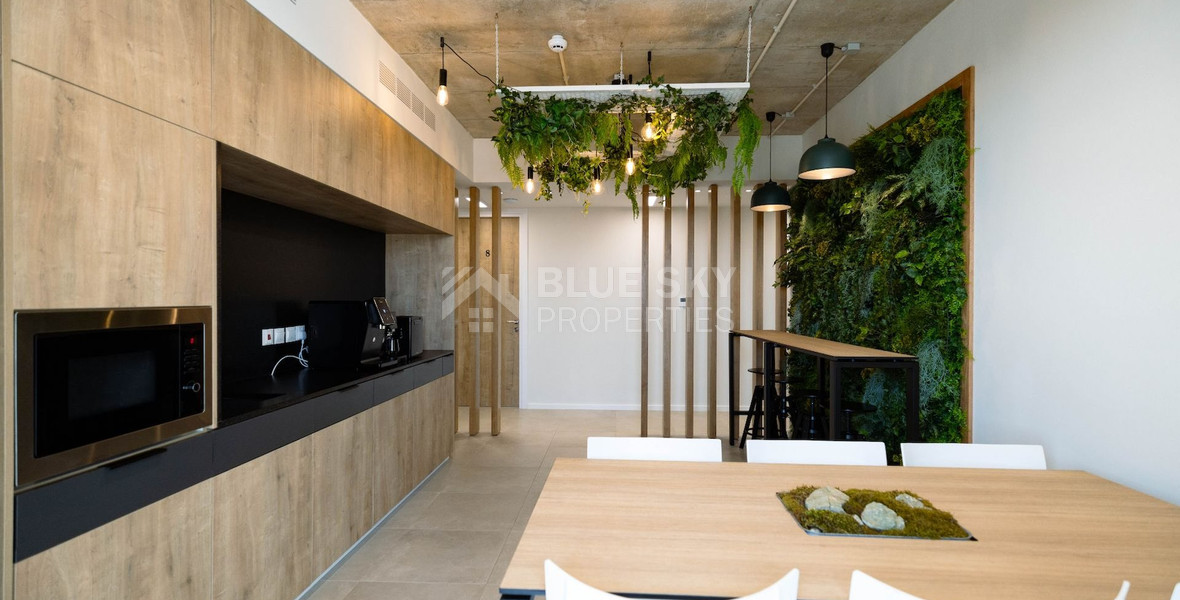 Modern Fully Furnished   Office to Rent in Zakaki