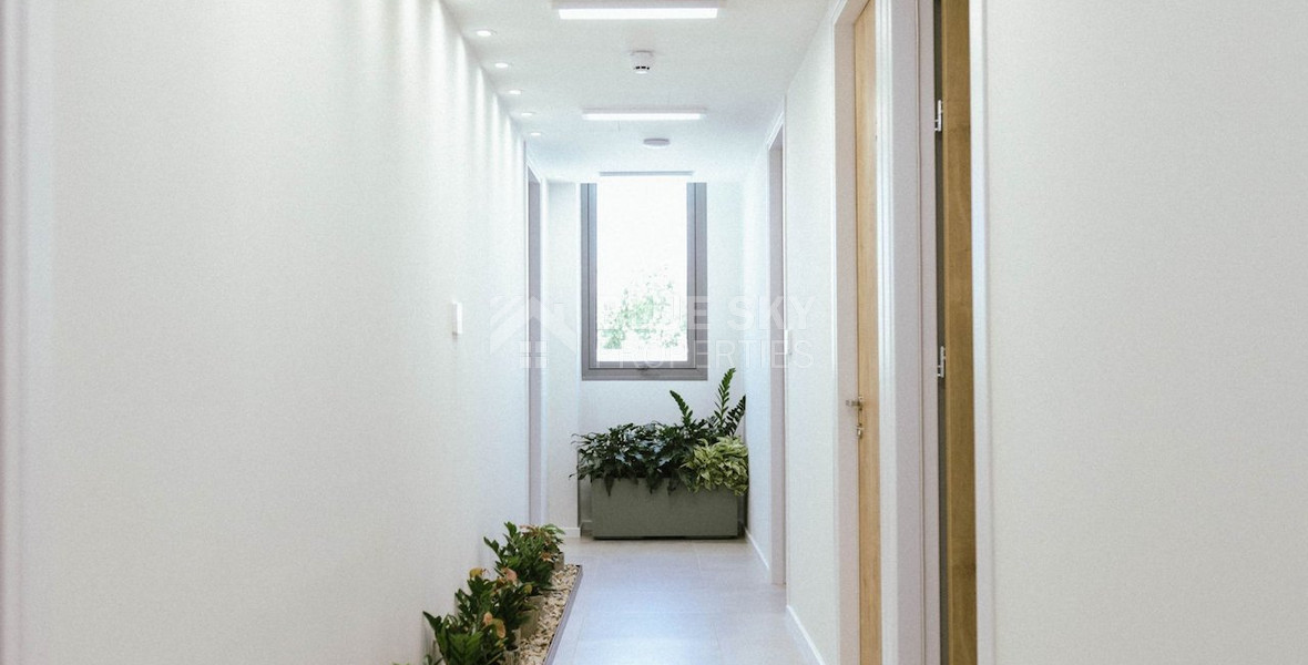 Modern Fully Furnished Office to Rent in Zakaki