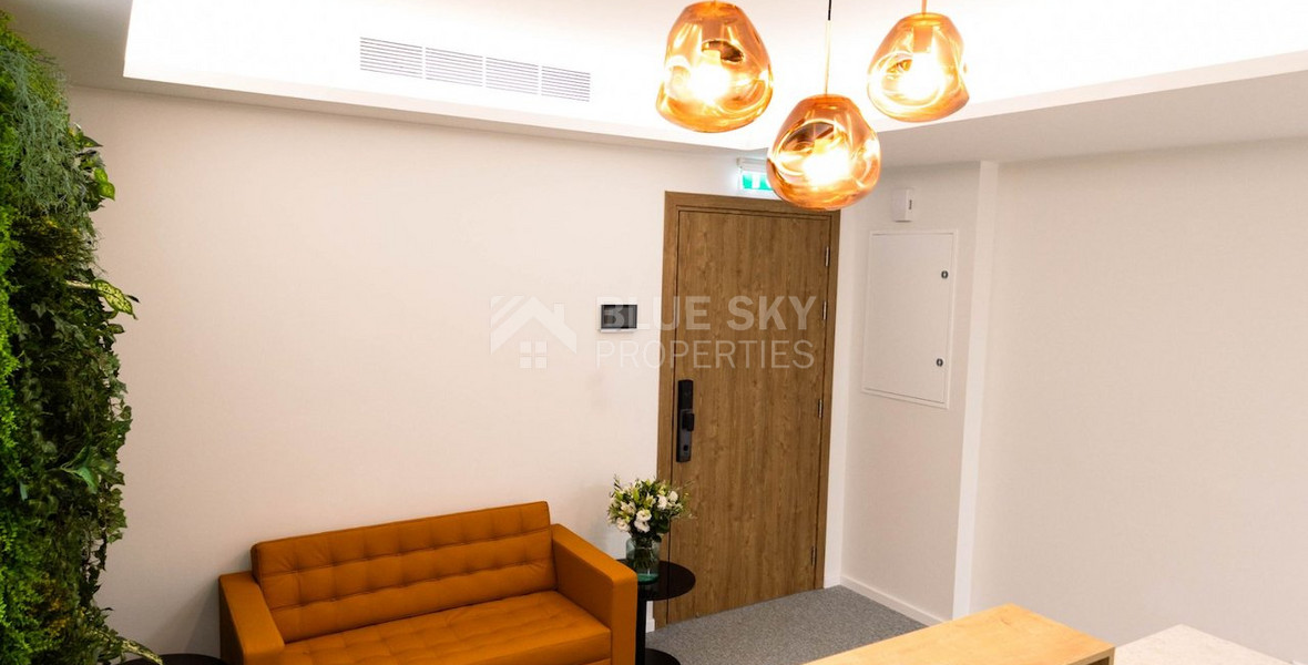 Modern Fully Furnished Office to Rent in Zakaki