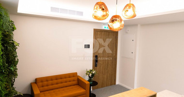 Modern Furnished Office Space for Rent in Zakaki
