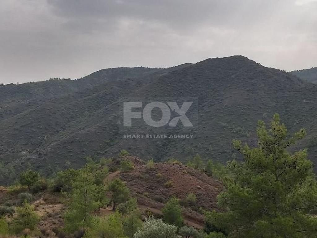 Land for sale in Dierona, Limassol