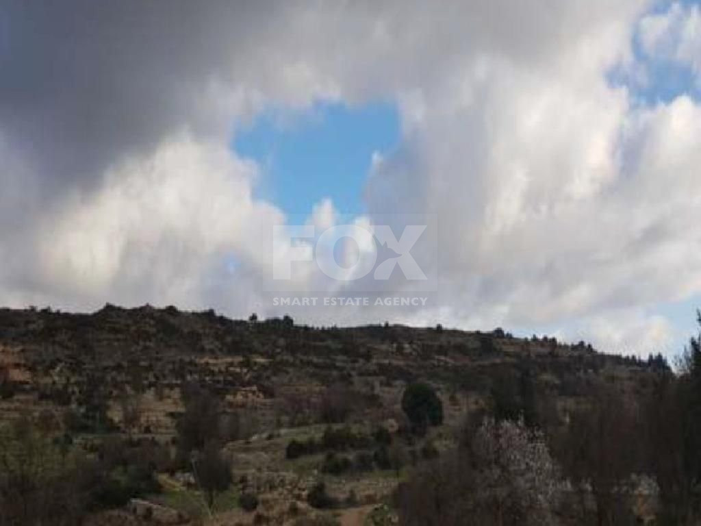 Agriculture land for sale in Pachna, Limassol