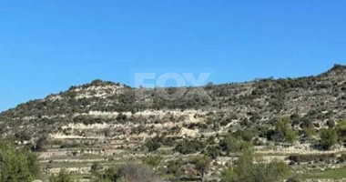 Agriculture land for sale in Pachna, Limassol