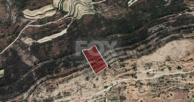 Agriculture land for sale in Pachna, Limassol