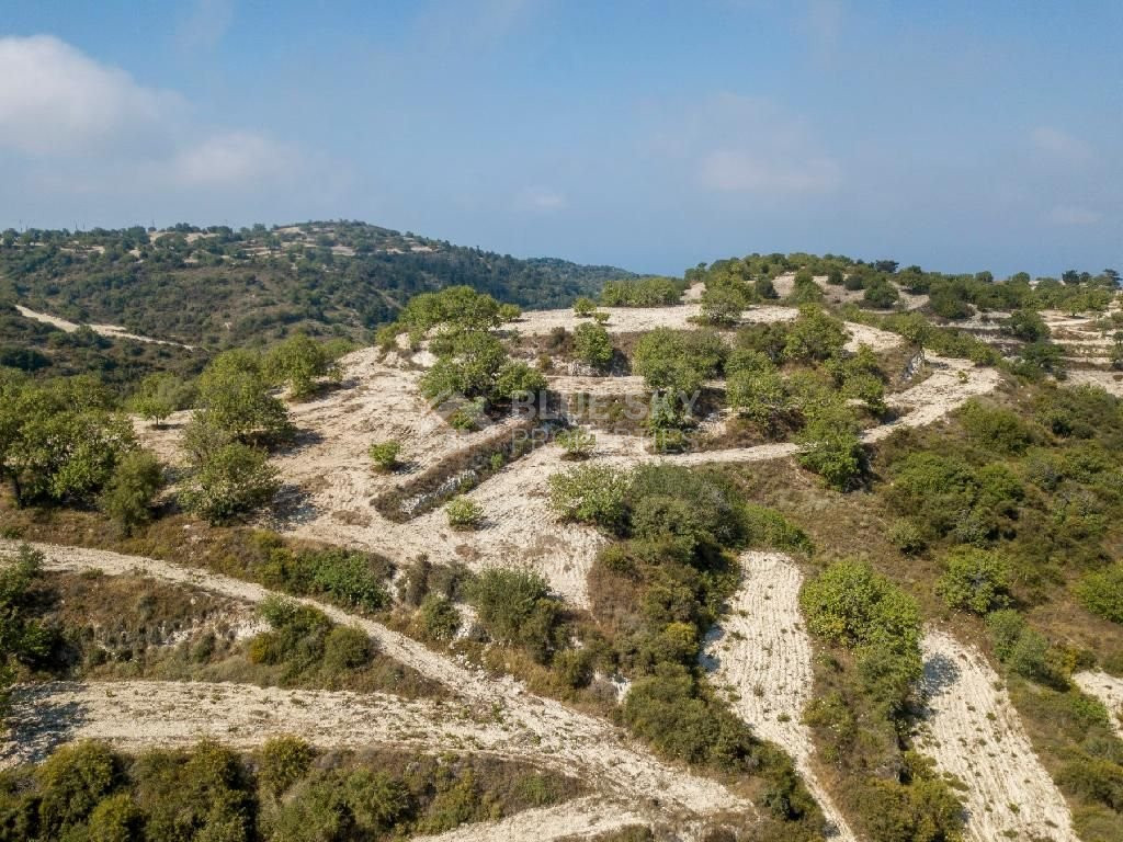 Field in Koili , Paphos