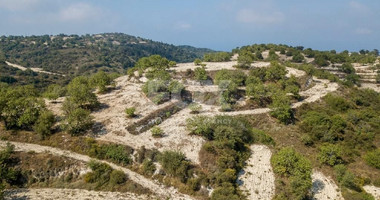 Field in Koili , Paphos