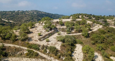 Field in Koili , Paphos