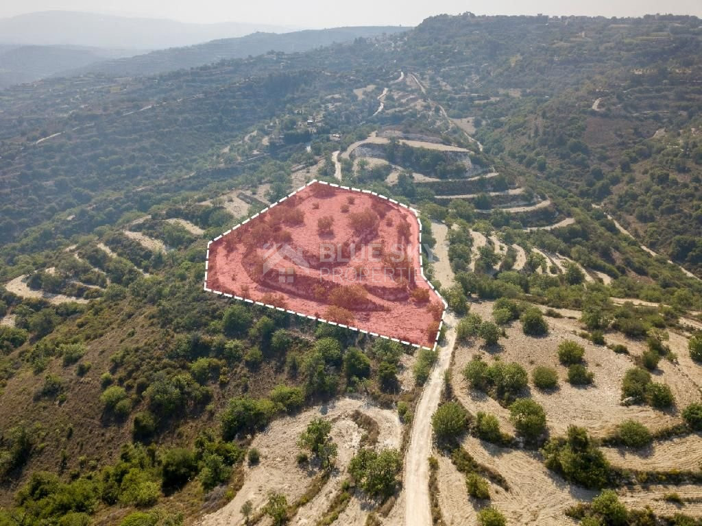 Field in Koili , Paphos