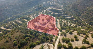 Field in Koili , Paphos