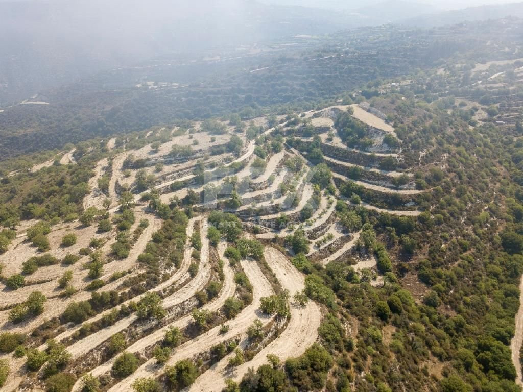 Field in Koili , Paphos