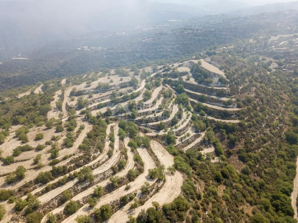 Field in Koili , Paphos