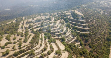 Field in Koili , Paphos