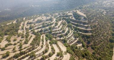 Field in Koili , Paphos