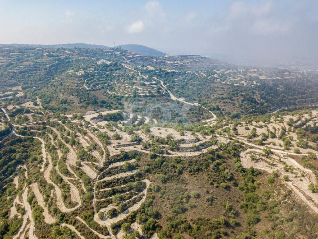 Field in Koili , Paphos