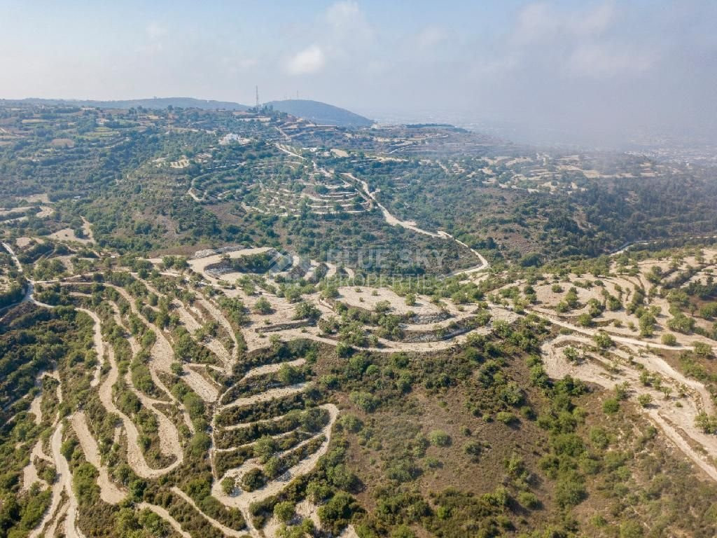 Field in Koili , Paphos