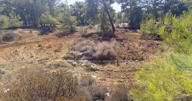 Plot in Souni Zanakia, Limassol