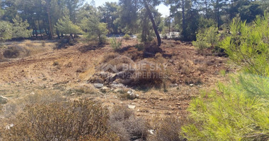 Plot in Souni Zanakia, Limassol