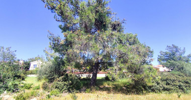 Plot in Souni Zanakia, Limassol
