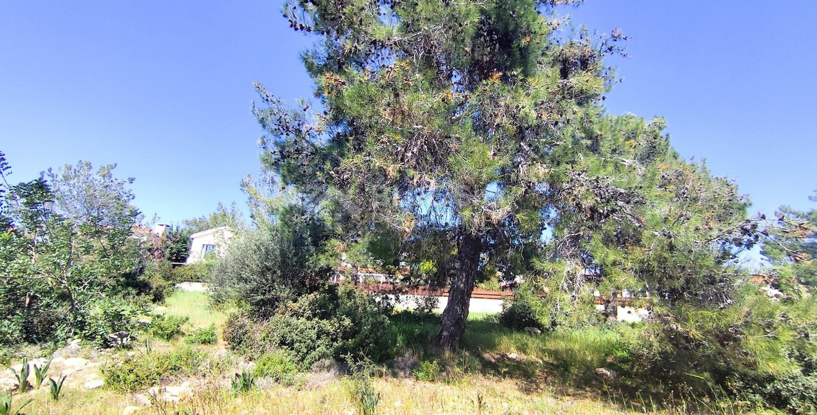 Plot in Souni Zanakia, Limassol