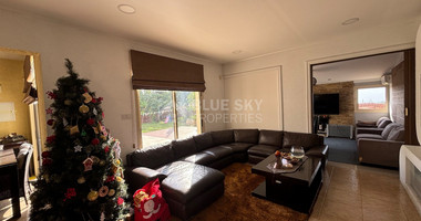 Spacious detached house for sale in Monagroulli