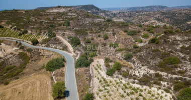 Agriculture land for sale in Pachna, Limassol