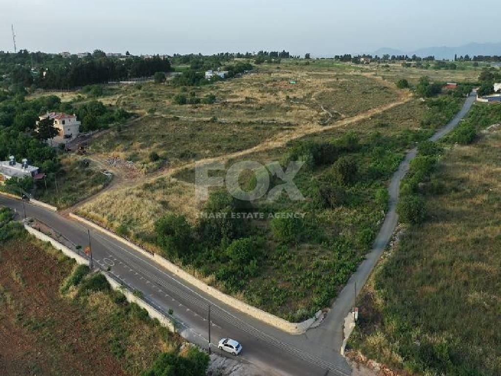 Field in Ineia community of Paphos