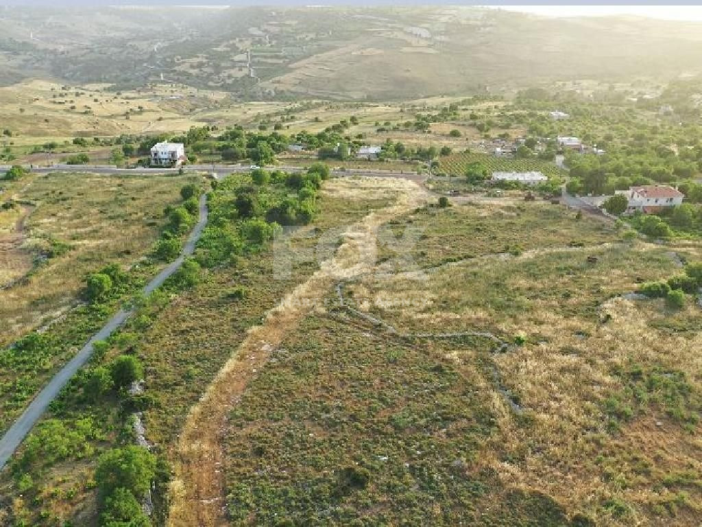 Field in Ineia community of Paphos