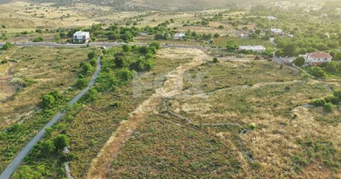 Field in Ineia community of Paphos