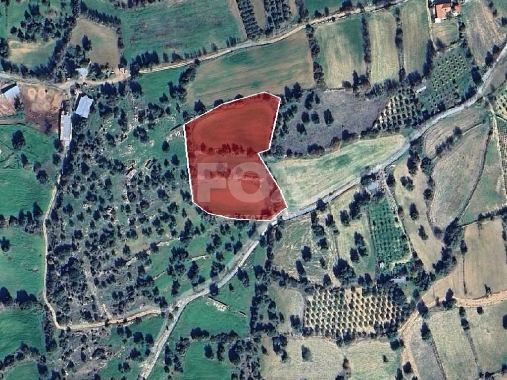 Residential land for sale in Anogyra village, Limassol