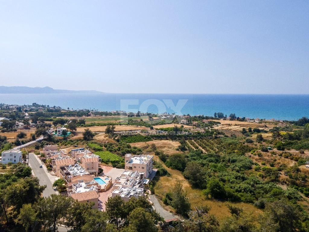 Residential Field in Argaka village, in Paphos