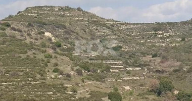 Agriculture land for sale in Pachna village, Limassol