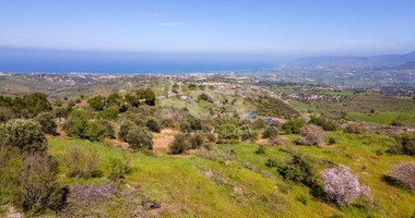 Residential field in Drousia community of Paphos