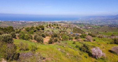 Residential field in Drousia community of Paphos